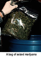 A bag of seized marijuana